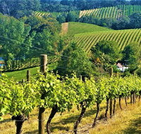 Adelaide Hills Private Day Tour - Attractions Perth