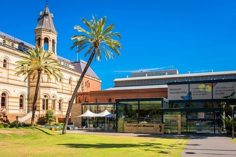 Adelaide Airport Transfers : Adelaide City To Airport ADL In Luxury Van - Attractions Perth 5