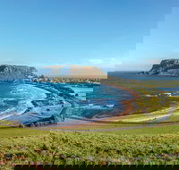 Cruise Ship Special from Burnie to Stanley and The Nut - Attractions Perth
