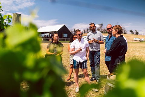 Tasmanian Wine Tour - Attractions Perth 4