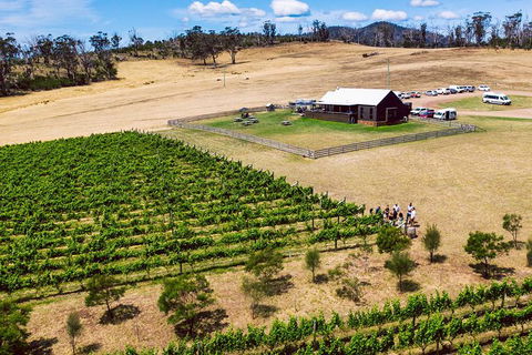Tasmanian Wine Tour - Attractions Perth 7