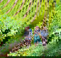 Tasmanian Wine Tour - Attractions Perth