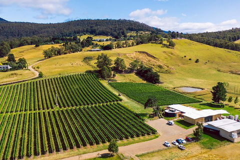 Tasmanian Wine Tour - Attractions Perth 11