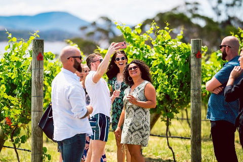 Tasmanian Wine Tour - Attractions Perth 3