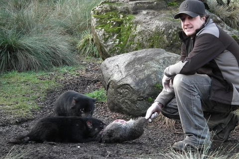 After Dark Tasmanian Devil Feeding Tour At Cradle Mountain - Attractions Perth 0