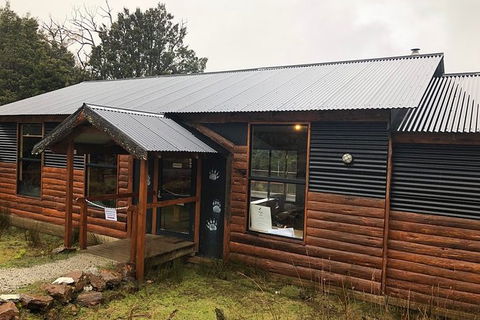 After Dark Tasmanian Devil Feeding Tour At Cradle Mountain - Attractions Perth 6