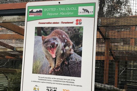 After Dark Tasmanian Devil Feeding Tour At Cradle Mountain - Attractions Perth 2