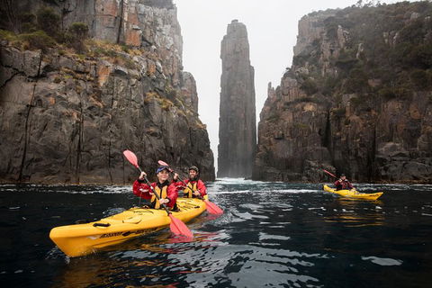 Tasman Peninsula Full Day Kayaking Tour - Attractions Perth 6