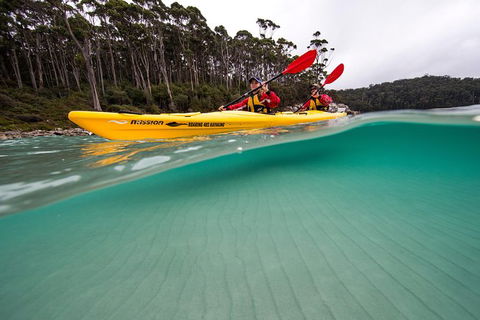 Tasman Peninsula Full Day Kayaking Tour - Attractions Perth 5