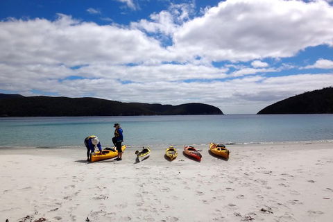 Tasman Peninsula Full Day Kayaking Tour - Attractions Perth 3
