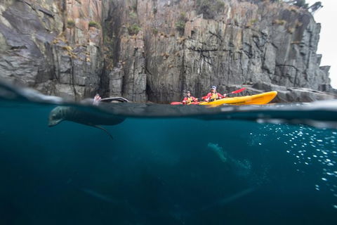 Tasman Peninsula Full Day Kayaking Tour - Attractions Perth 0