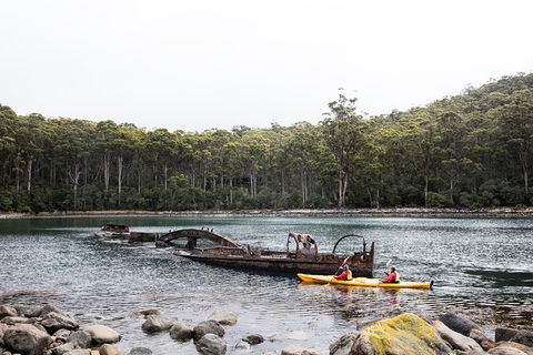 Tasman Peninsula Full Day Kayaking Tour - Attractions Perth 2