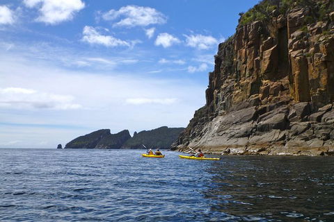 Tasman Peninsula Full Day Kayaking Tour - Attractions Perth 4