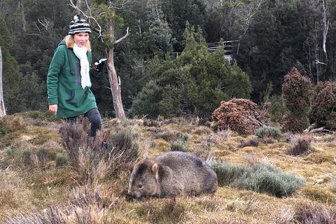 Shore Excursion - Cradle Mountain Day Tour From Burnie - Attractions Perth 1