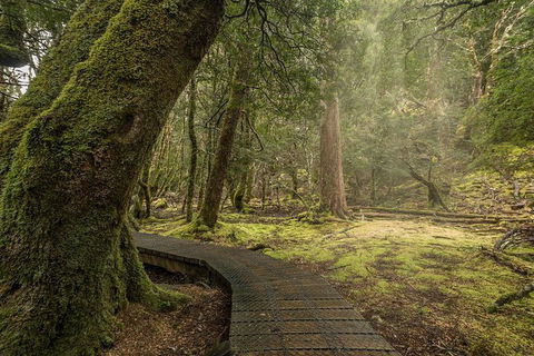 Shore Excursion - Cradle Mountain Day Tour From Burnie - Attractions Perth 3