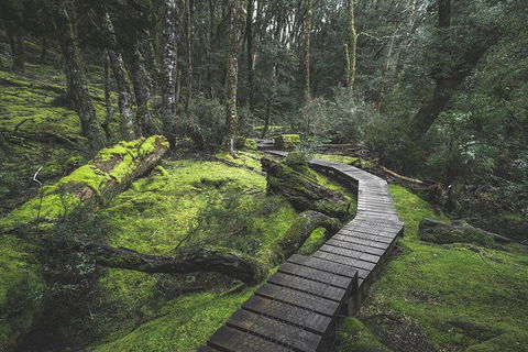Shore Excursion - Cradle Mountain Day Tour From Burnie - Attractions Perth 2
