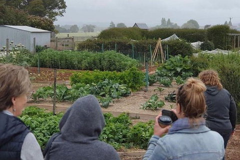 Unearthed Chefs Tour - Attractions Perth 17