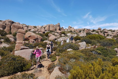 Alpine Loop - Attractions Perth 2