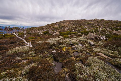 Alpine Loop - Attractions Perth 0