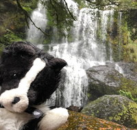 Waterfalls Guided Tour - Attractions Perth