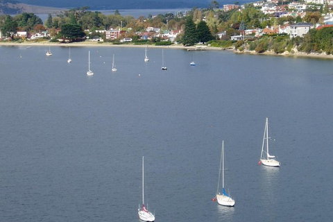 Hobart City Flight Including Mt Wellington And Derwent River - Attractions Perth 1
