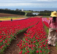 Table Cape Lighthouse Tours - Attractions Perth