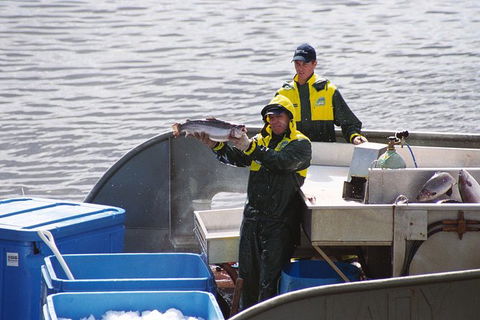 Afternoon Gordon River Dinner Cruise - Departing 3pm - Attractions Perth 3