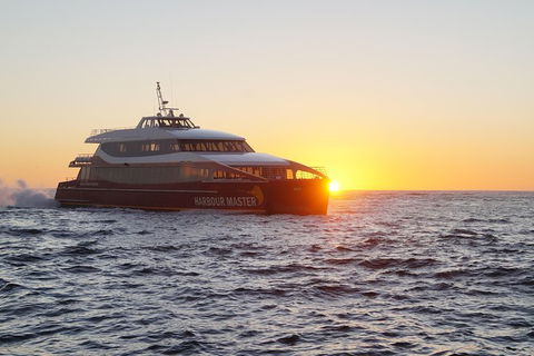 Afternoon Gordon River Dinner Cruise - Departing 3pm - Attractions Perth 0