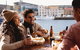 The Hobart Local - Private, Luxury Half-day Tour - thumb 0