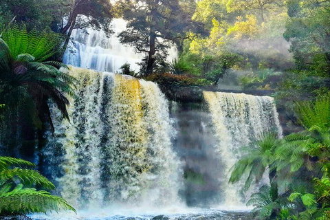 6-Day Tasmania Small-Group Guided Tour With Gourmet Food - Attractions Perth 9