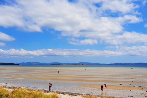 6-Day Tasmania Small-Group Guided Tour With Gourmet Food - Attractions Perth 7
