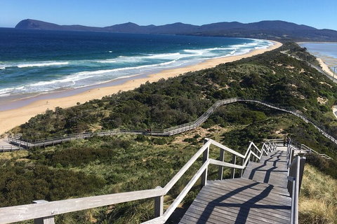 4-Day Fabulous Tasmania Tour: Wineglass Bay, Port Arthur, Devils & Bruny Island - Attractions Perth 3