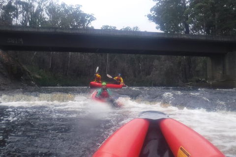Twin Rivers Winter Adventure - Attractions Perth 4