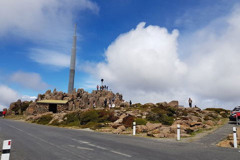 Mt. Wellington Morning Hike + Afternoon Beer & History Walk - Attractions Perth 21