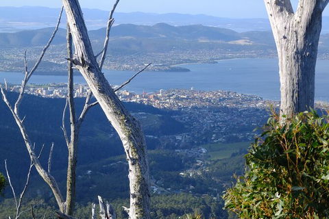 Mt. Wellington Morning Hike + Afternoon Beer & History Walk - Attractions Perth 10
