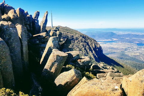 Mt. Wellington Morning Hike + Afternoon Beer & History Walk - Attractions Perth 11