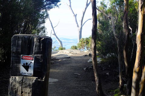 Mt. Wellington Morning Hike + Afternoon Beer & History Walk - Attractions Perth 14
