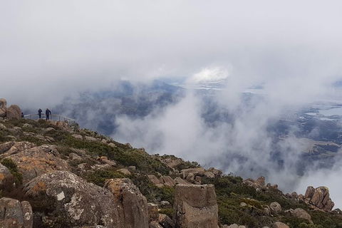Mt. Wellington Morning Hike + Afternoon Beer & History Walk - Attractions Perth 18
