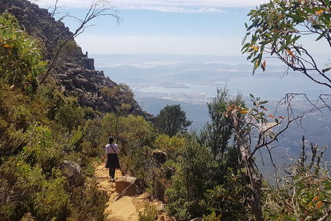 Mt. Wellington Morning Hike + Afternoon Beer & History Walk - Attractions Perth 1