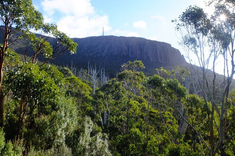 Mt. Wellington Morning Hike + Afternoon Beer & History Walk - Attractions Perth 4