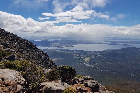 Mt. Wellington Morning Hike + Afternoon Beer & History Walk - Attractions Perth 5