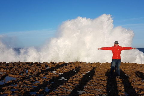 Ride Tours, 2 Day Great Ocean Road Experience - Attractions Perth 1