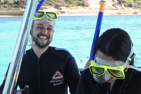Dolphin And Seal Swim Reef Snorkel Boat Tour Mornington Peninsula - Attractions Perth 17
