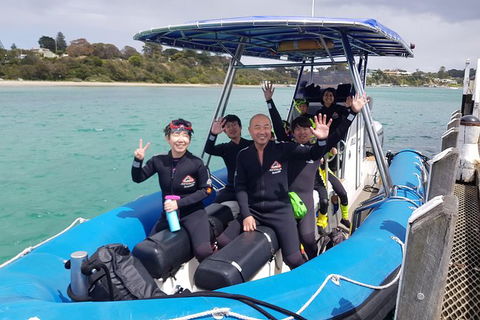 Dolphin And Seal Swim Reef Snorkel Boat Tour Mornington Peninsula - Attractions Perth 16