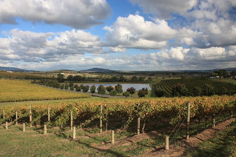 LGBT+ Friendly Full Day Yarra Valley & Dandenong Ranges Private Tour - Attractions Perth 0