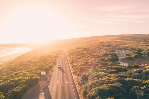 LGBT+ Friendly 2 Day Private Great Ocean Road Tour - Attractions Perth 1