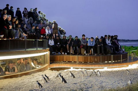 LGBT+ Friendly Full Day Phillip Island Private Tour - Attractions Perth 0