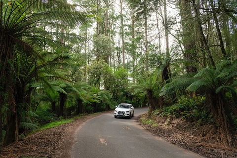 LGBT+ Friendly 3 Day Tour The Grampians, Daylesford & Ballarat - Attractions Perth 1
