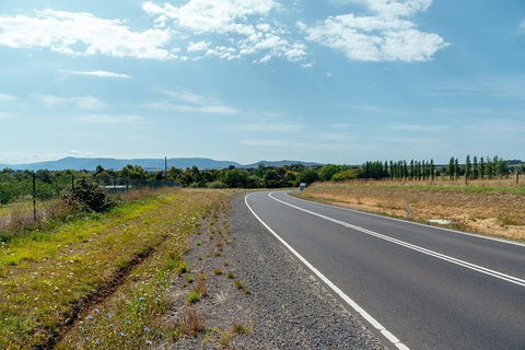 Day Trip To The Yarra Valley Private Tour - Attractions Perth 2