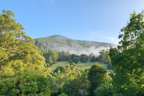 Hiking Tour To Aqueduct And Warburton Valley Lookout - Attractions Perth 0